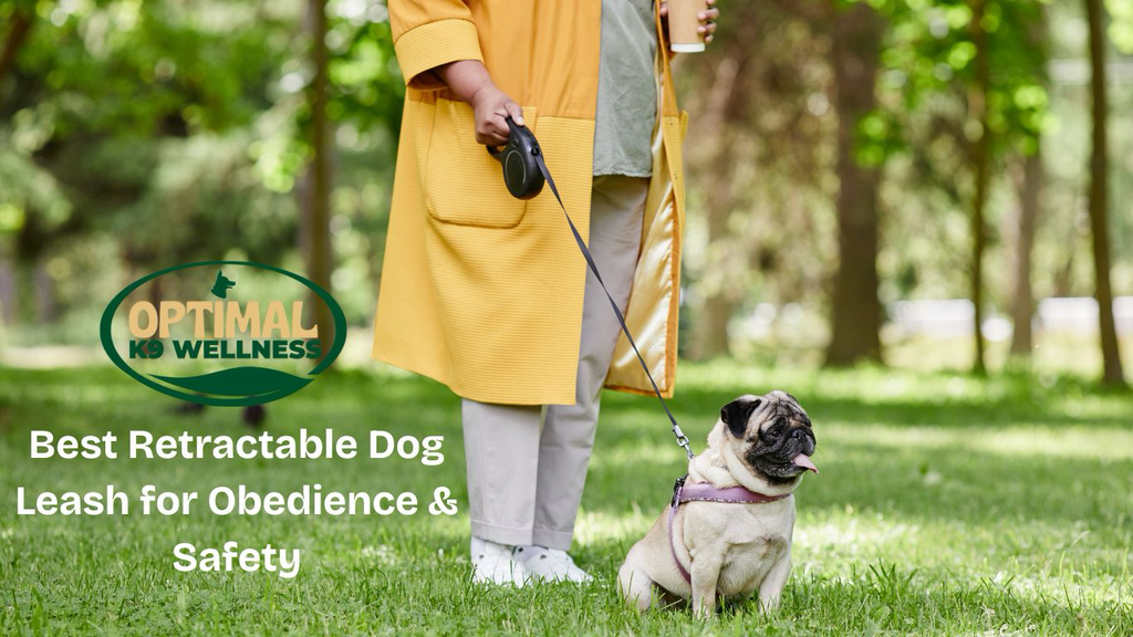 Best Retractable Dog Leash for Obedience & Safety