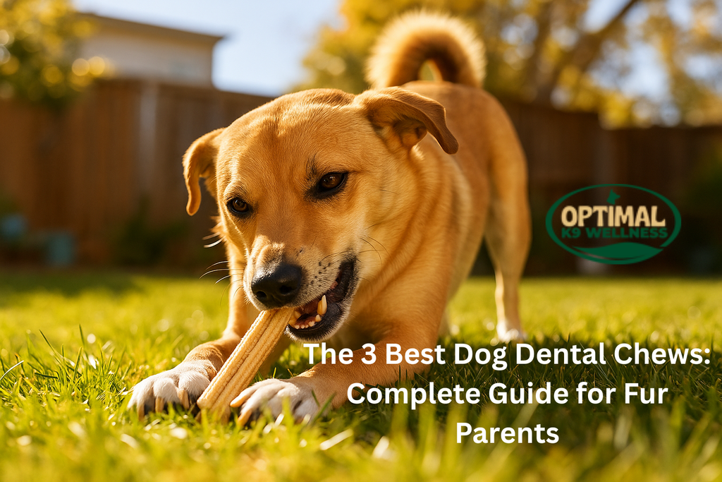 The 3 Best Dog Dental Chews: Complete Guide for Fur Parents