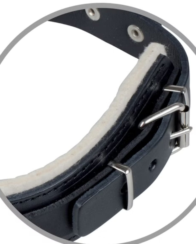 Leather Protection Collar with Handle