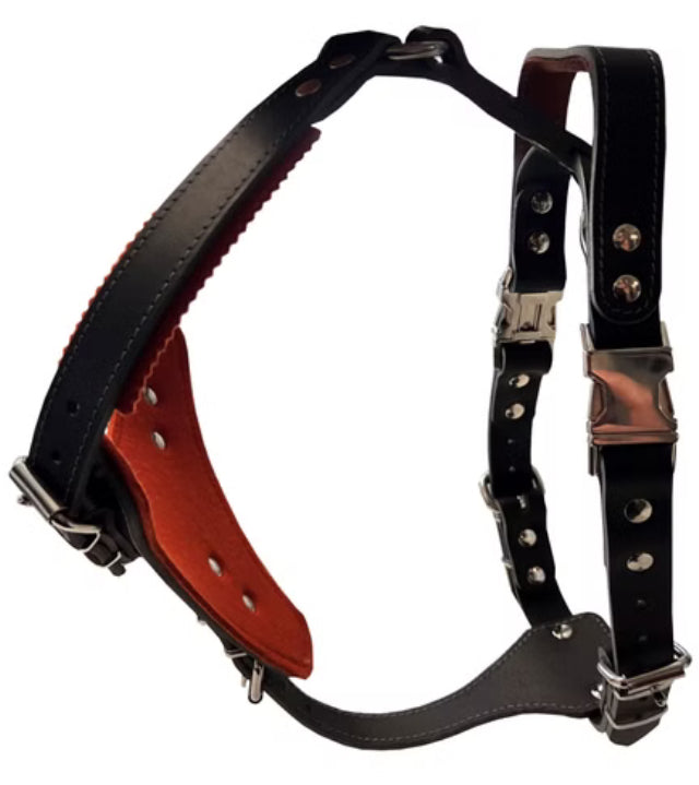 Ultimato Protect Harness