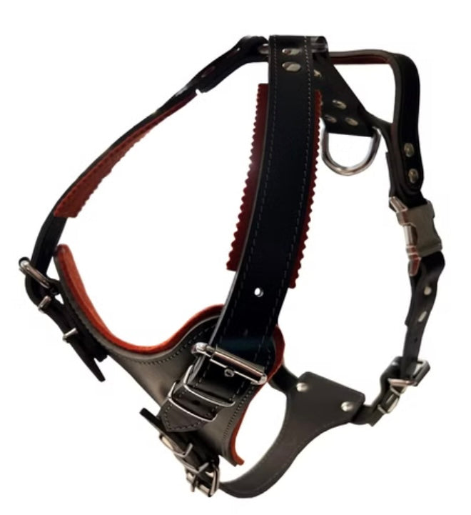 Ultimato Protection Harness