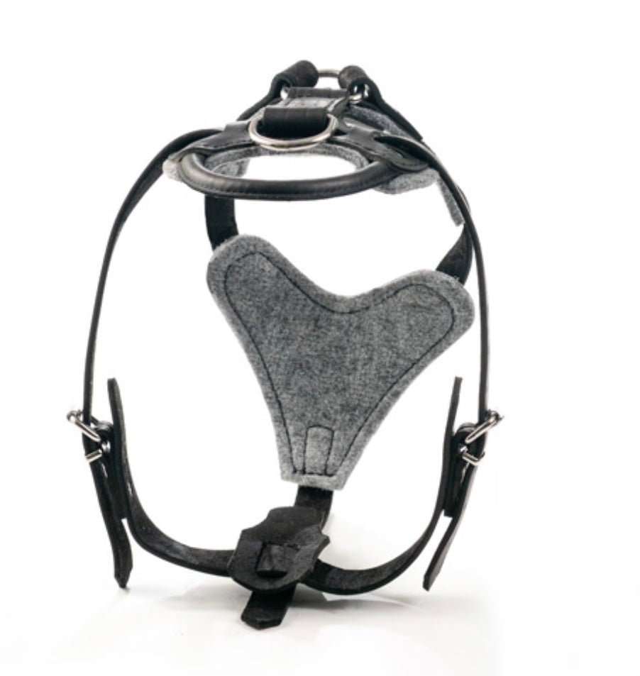 Leather Agitation & Tracking Harness with Handle