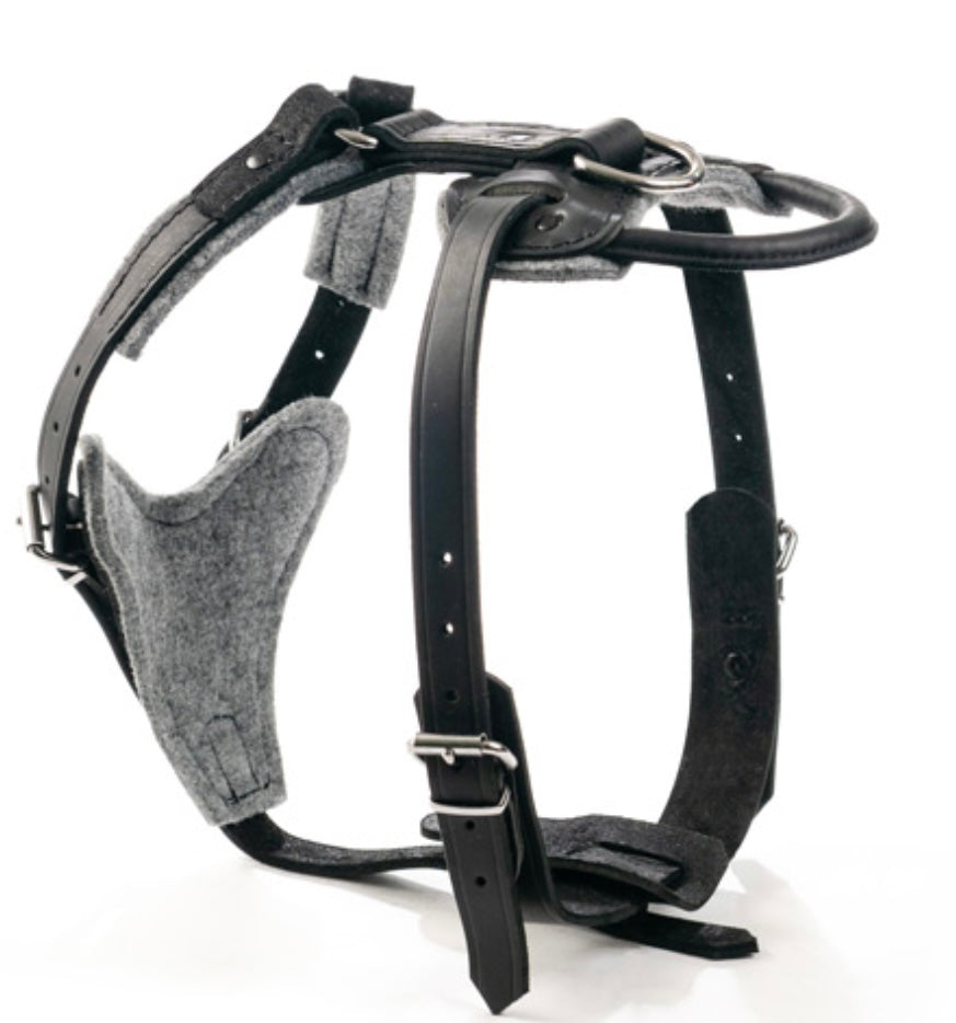Leather Agitation & Tracking Harness with Handle