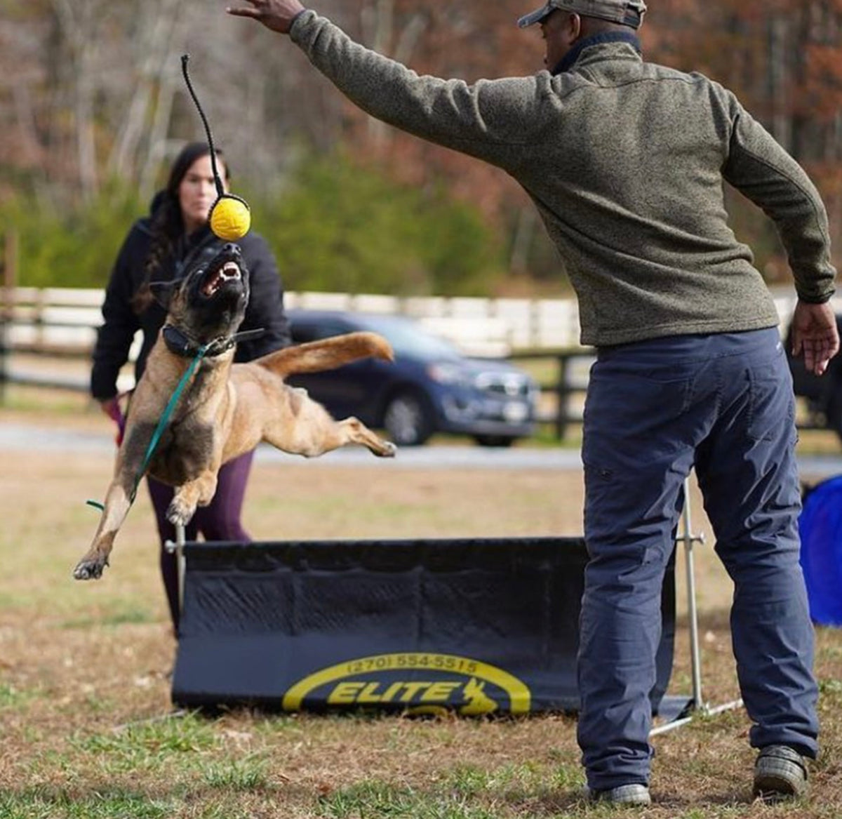 Dog Agility Jump - 1 Meter Adjustable Hurdle