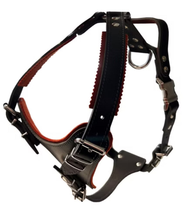 Ultimato Protect Harness