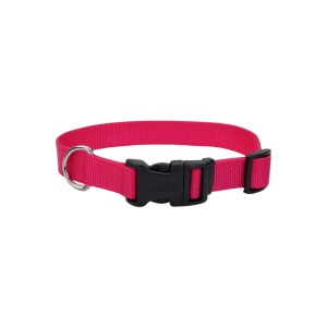 Coastal Adjustable Dog Collar with Plastic Buckle
