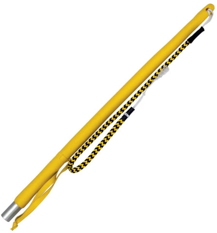 Padded Whip with Handle