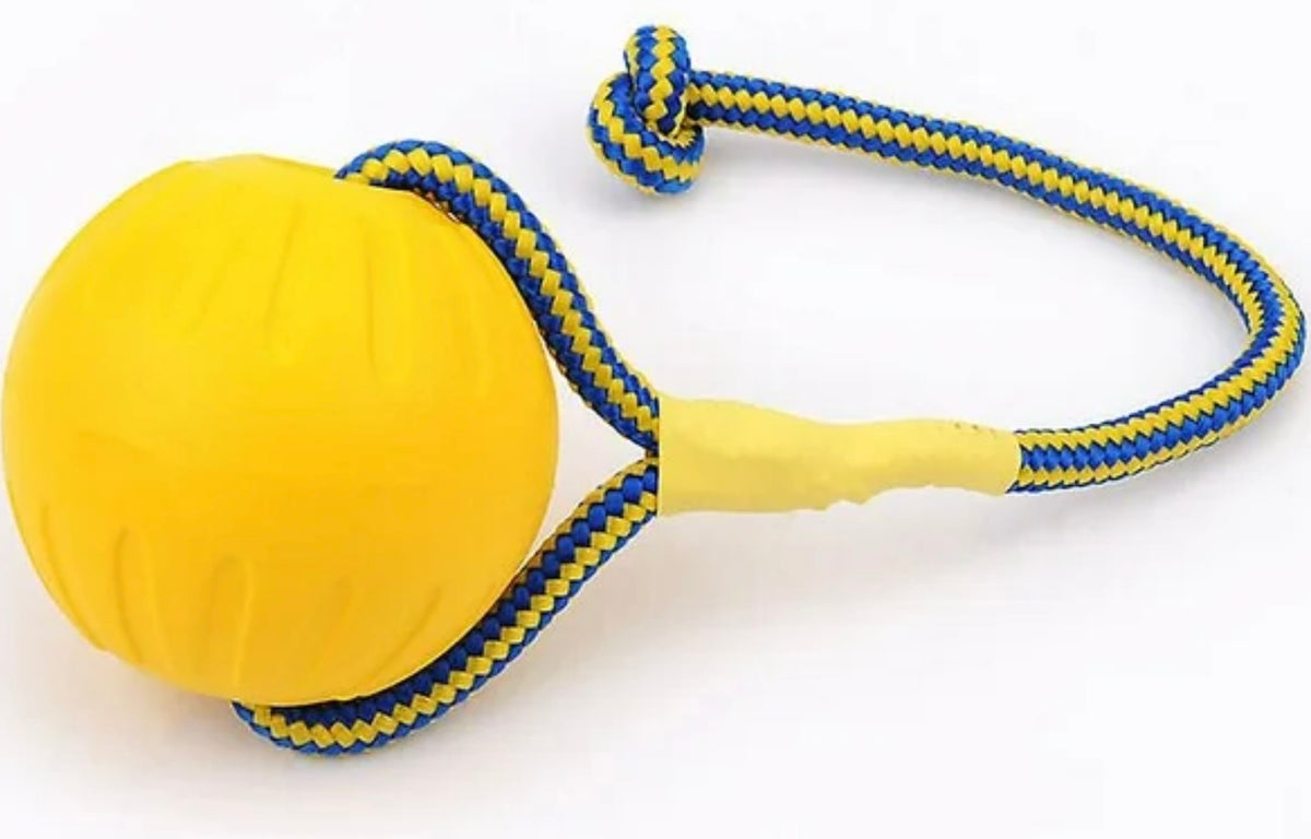 Chinese Ball Dog Toy