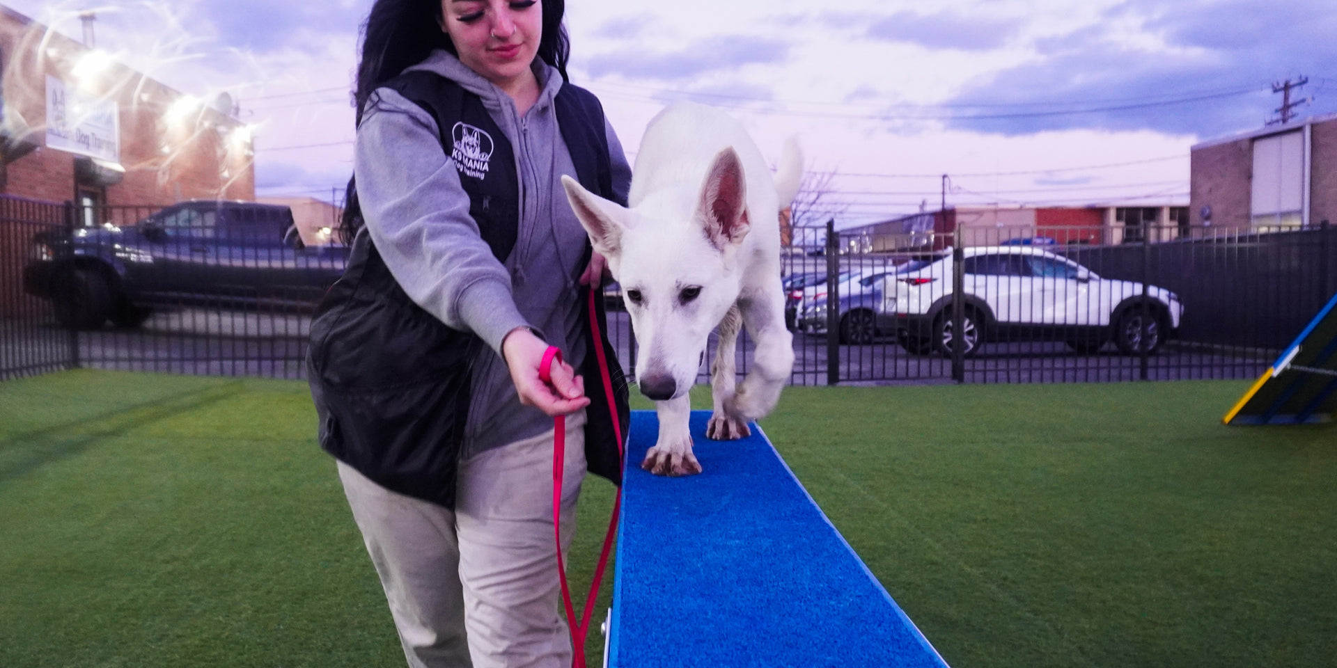 Quality Products for a Healthier, Happier Dog