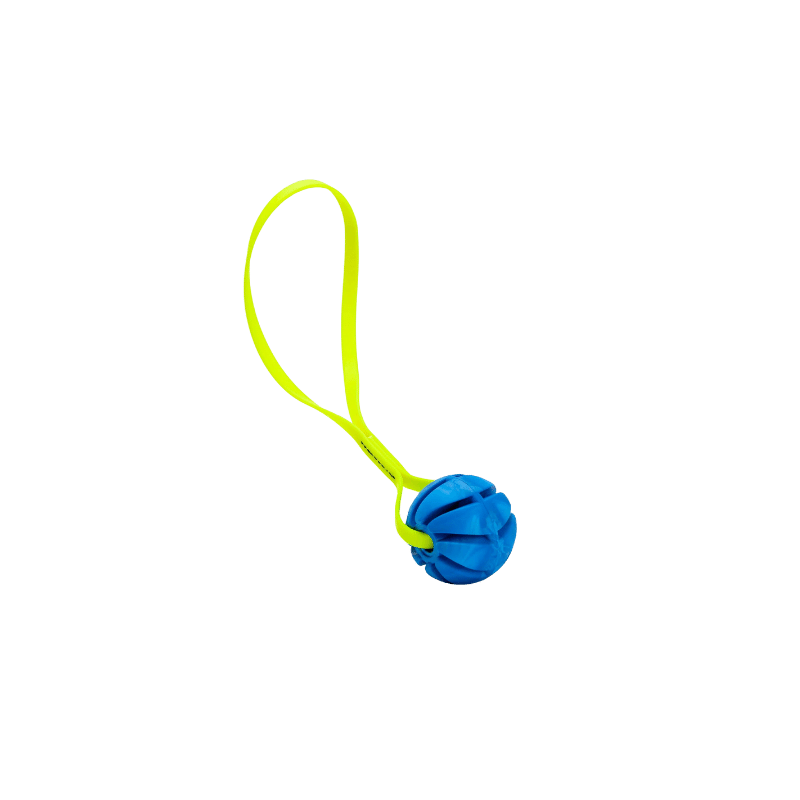 Dogline Spiral Rubber Ball Toy with Biothane Handle
