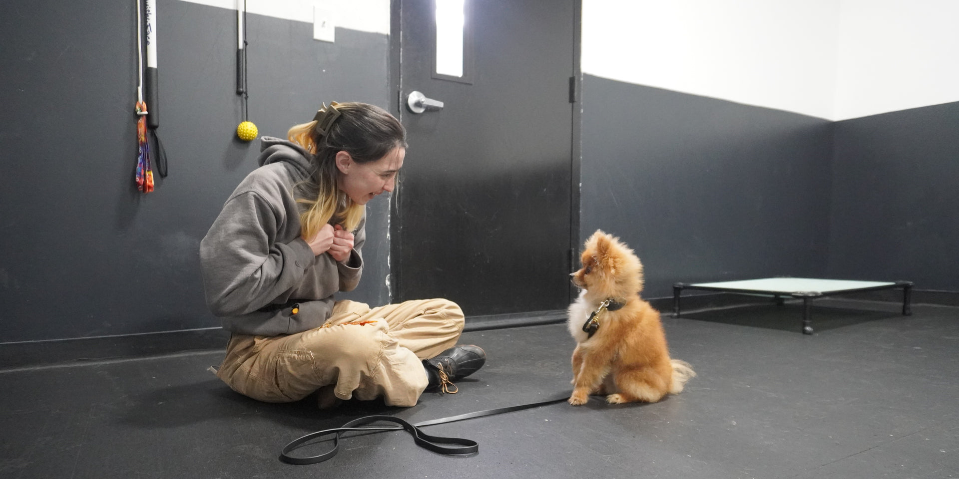 Real Dogs. Real Results.