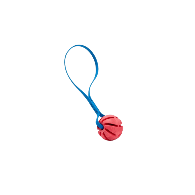 Dogline Spiral Rubber Ball Toy with Biothane Handle